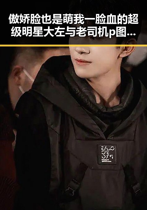 傲娇脸也是萌我一脸血的超级明星大左与老司机p图软件的趣味对比