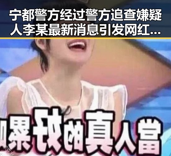 宁都警方经过警方追查嫌疑人李某最新消息引发网红明星幕后真相曝光